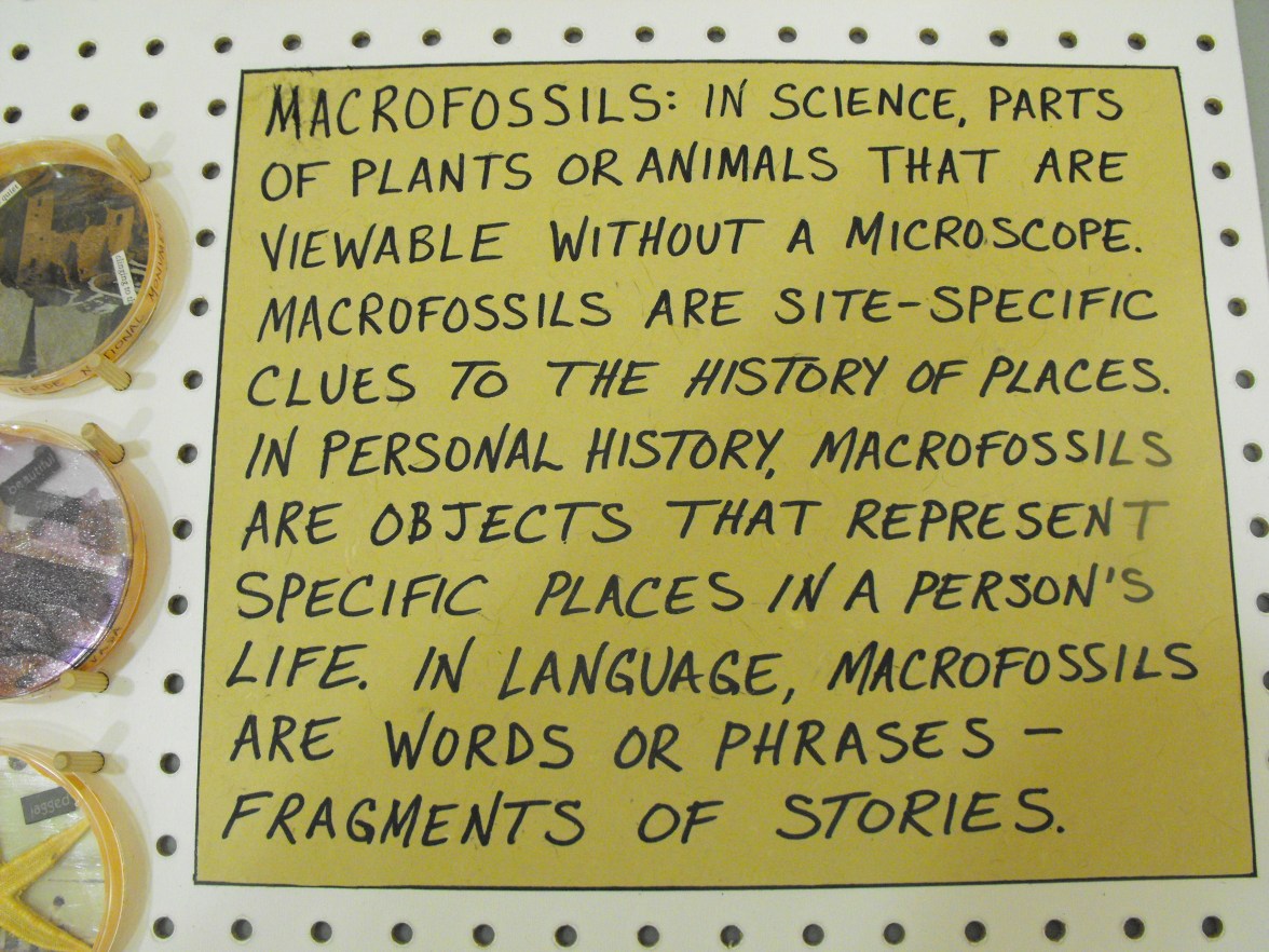 Macrofossils - text